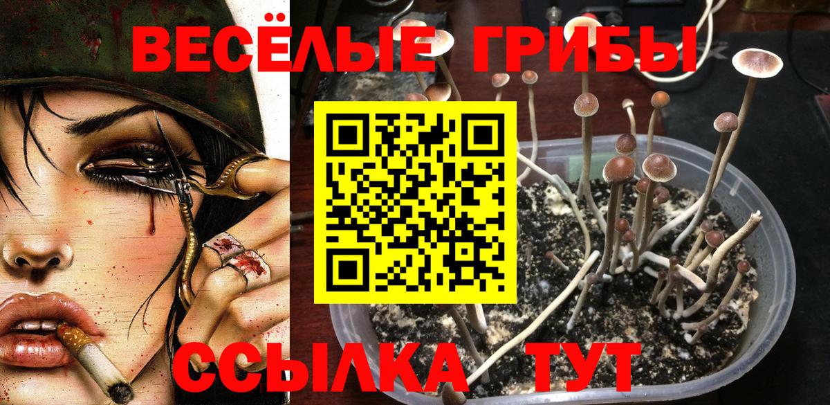 Сатка  Псилоцибиновые грибы Cubensis  Галлюциногенные грибы ЛСД  Вход с VPN 