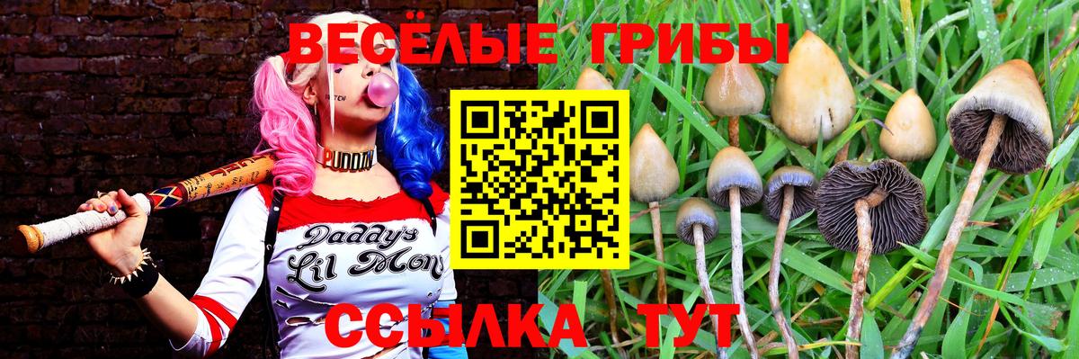 Псилоцибиновые грибы ЛСД Сатка